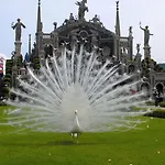 Primavera Hébergement de vacances Verbania