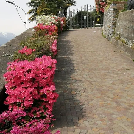 Primavera *