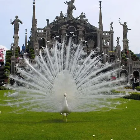Primavera Casa de Férias Verbania