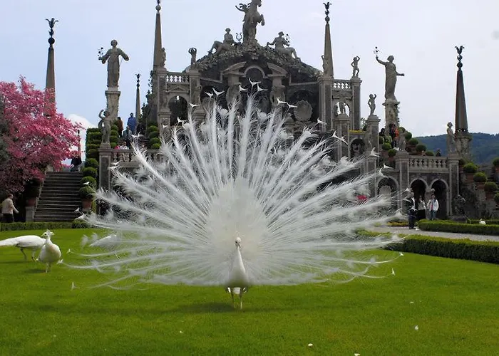 Primavera Casa de Férias Verbania