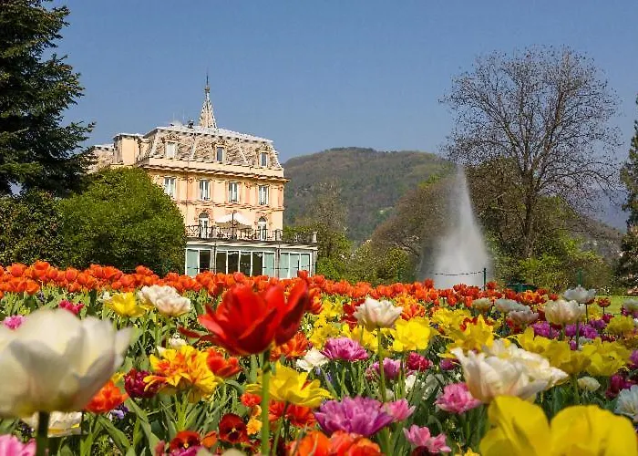 Primavera * Вербания