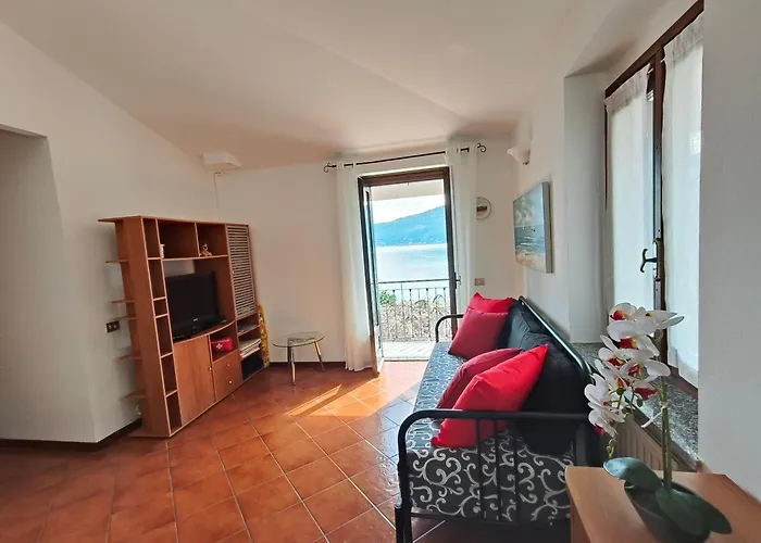 Primavera * 베르바니아